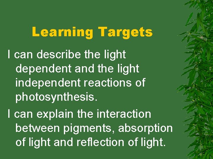 Learning Targets I can describe the light dependent and the light independent reactions of