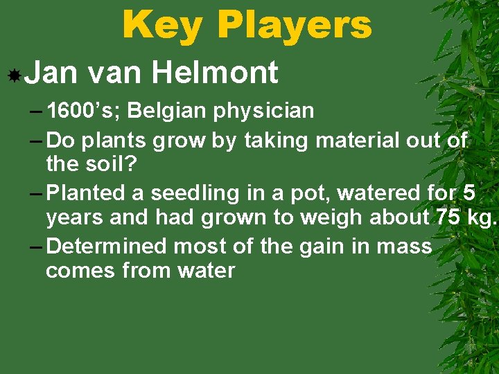 Key Players Jan van Helmont – 1600’s; Belgian physician – Do plants grow by
