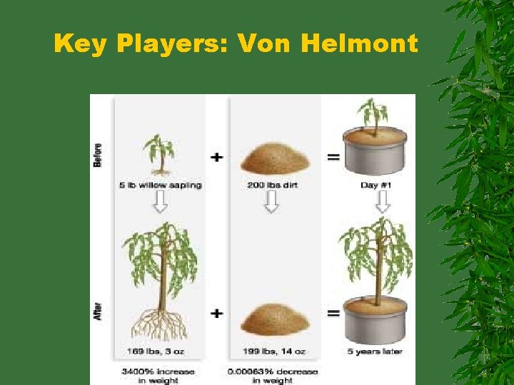 Key Players: Von Helmont 