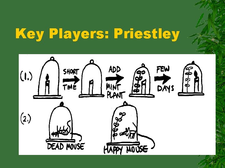 Key Players: Priestley 