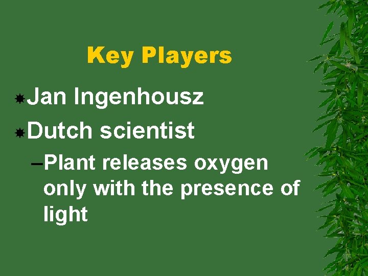 Key Players Jan Ingenhousz Dutch scientist –Plant releases oxygen only with the presence of