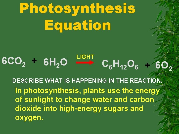 Photosynthesis Equation 6 CO 2 + 6 H 2 O LIGHT C 6 H