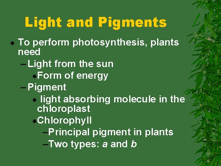 Light and Pigments To perform photosynthesis, plants need – Light from the sun Form