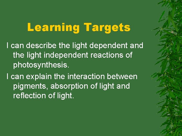 Learning Targets I can describe the light dependent and the light independent reactions of