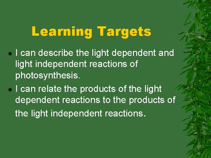 Learning Targets I can describe the light dependent and light independent reactions of photosynthesis.