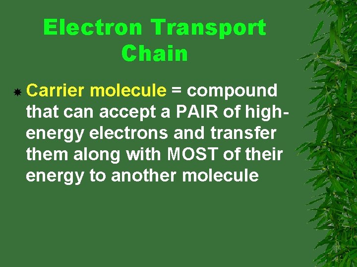 Electron Transport Chain Carrier molecule = compound that can accept a PAIR of highenergy