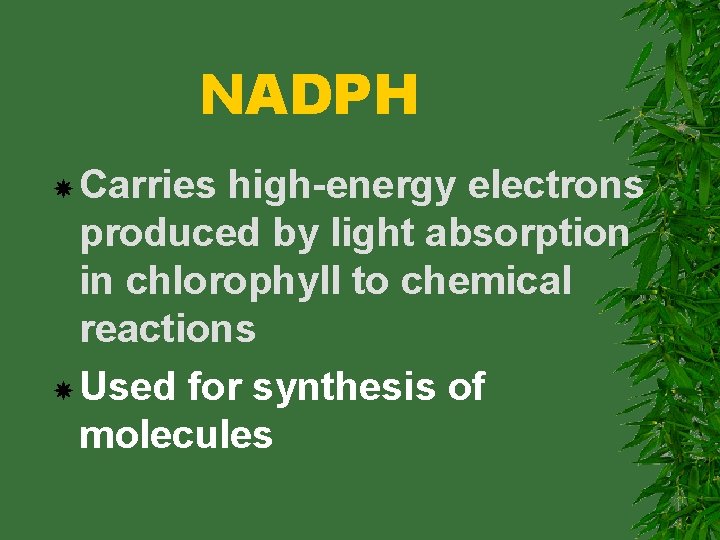 NADPH Carries high-energy electrons produced by light absorption in chlorophyll to chemical reactions Used