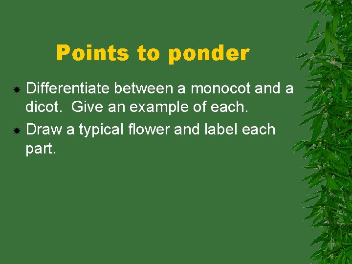 Points to ponder Differentiate between a monocot and a dicot. Give an example of