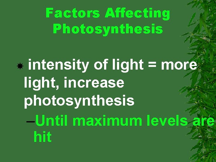 Factors Affecting Photosynthesis intensity of light = more light, increase photosynthesis –Until maximum levels