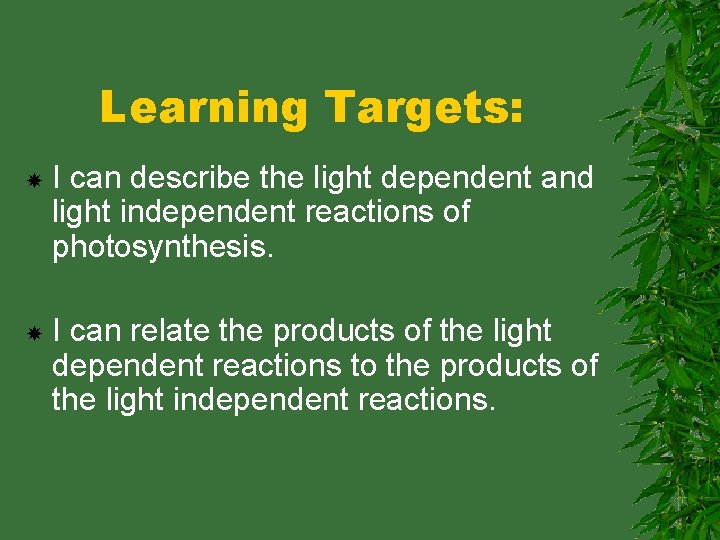 Learning Targets: I can describe the light dependent and light independent reactions of photosynthesis.