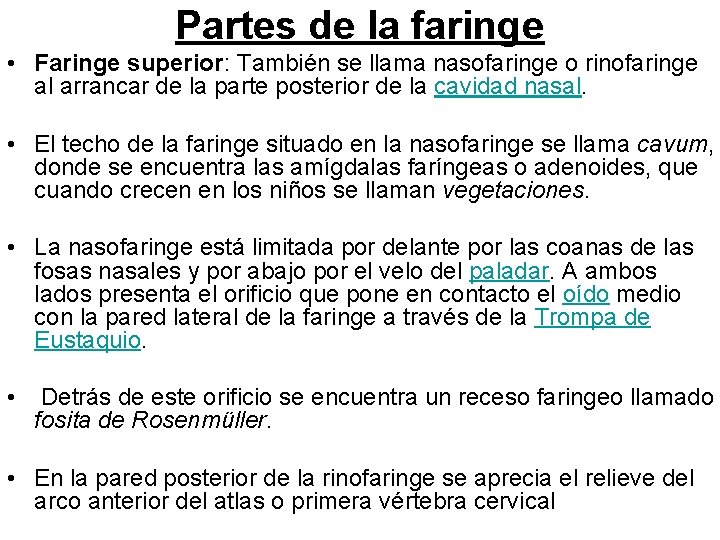 Partes de la faringe • Faringe superior: También se llama nasofaringe o rinofaringe al Partes de la faringe • Faringe superior: También se llama nasofaringe o rinofaringe al