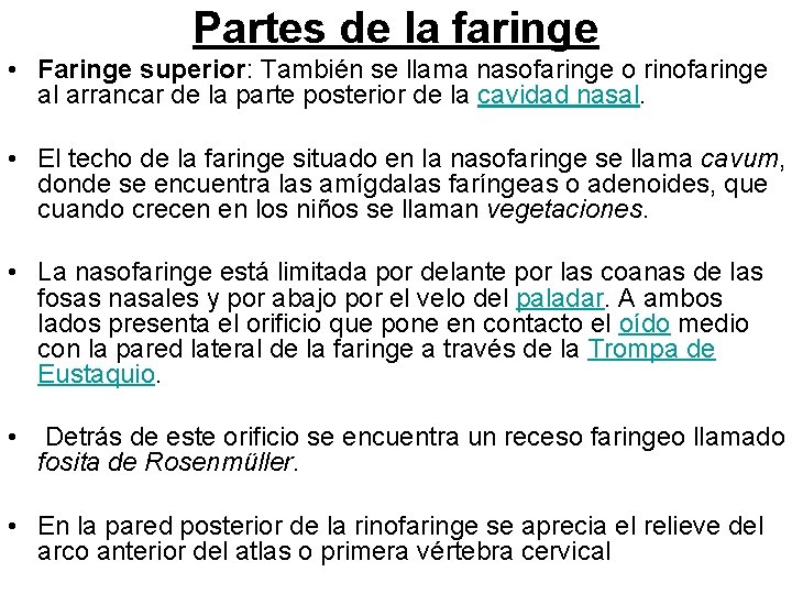 Partes de la faringe • Faringe superior: También se llama nasofaringe o rinofaringe al