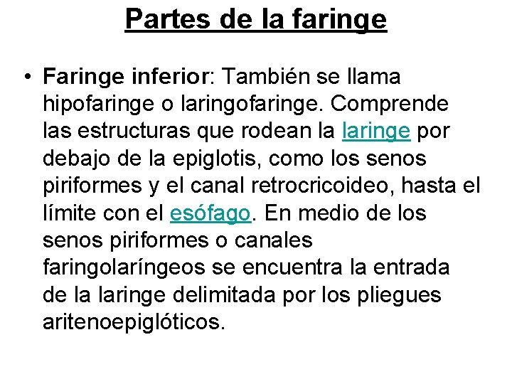 Partes de la faringe • Faringe inferior: También se llama hipofaringe o laringofaringe. Comprende