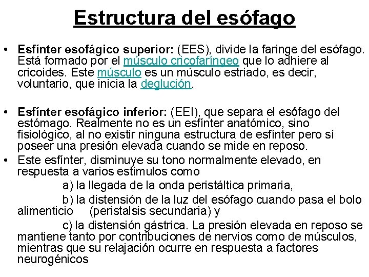 Estructura del esófago • Esfínter esofágico superior: (EES), divide la faringe del esófago. Está