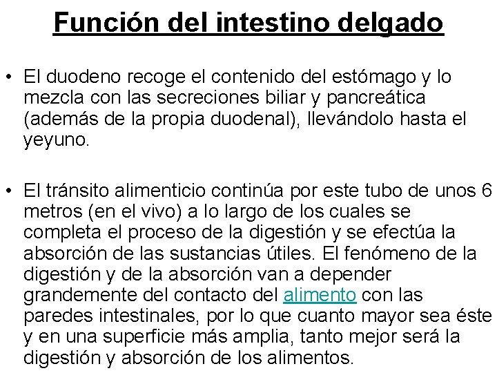 Función del intestino delgado • El duodeno recoge el contenido del estómago y lo