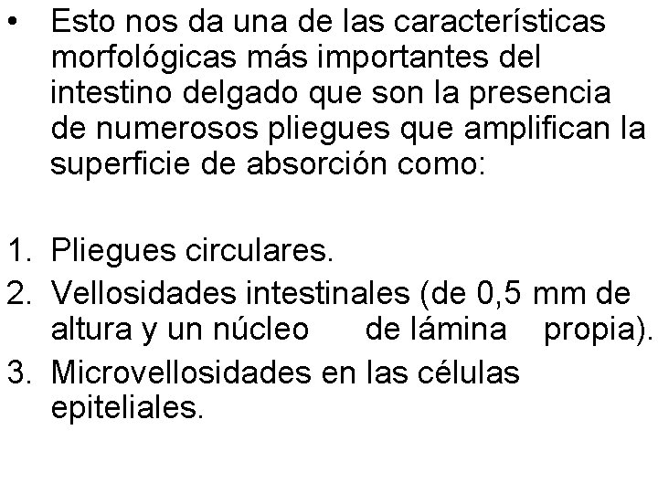 • Esto nos da una de las características morfológicas más importantes del intestino • Esto nos da una de las características morfológicas más importantes del intestino