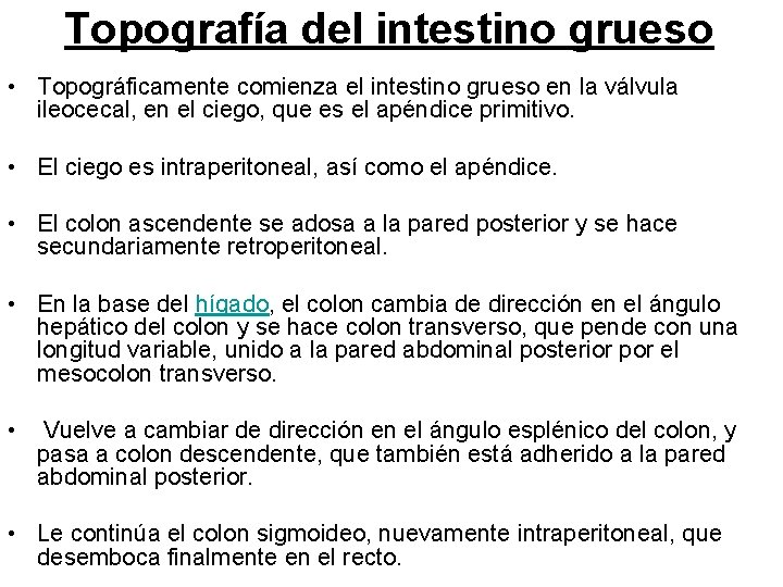 Topografía del intestino grueso • Topográficamente comienza el intestino grueso en la válvula ileocecal,