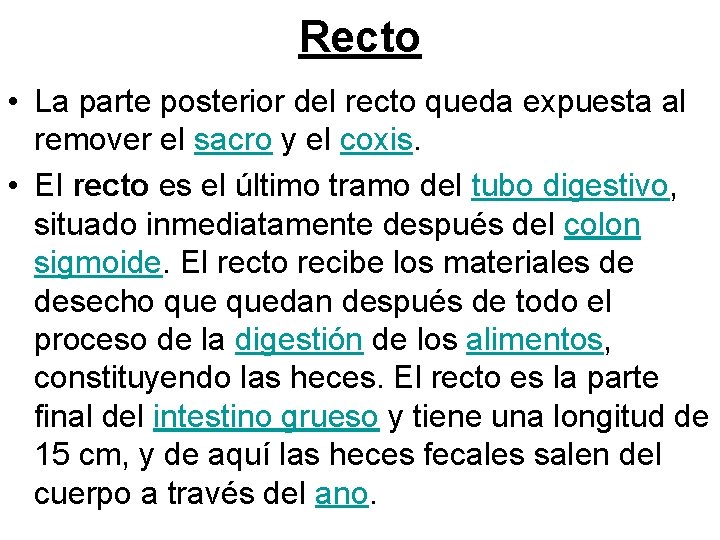 Recto • La parte posterior del recto queda expuesta al remover el sacro y