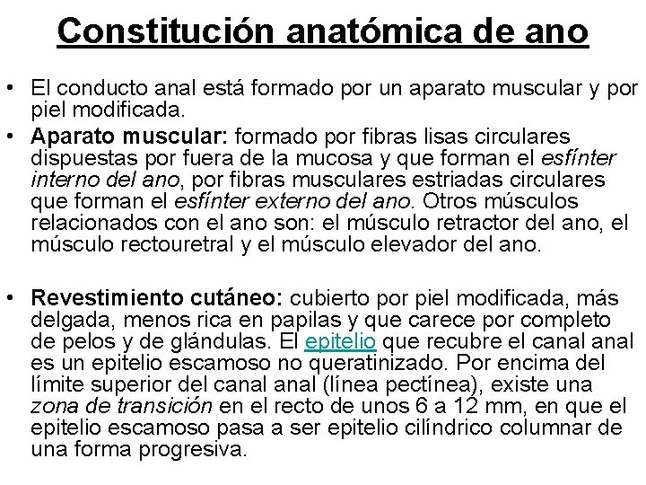Constitución anatómica de ano • El conducto anal está formado por un aparato muscular