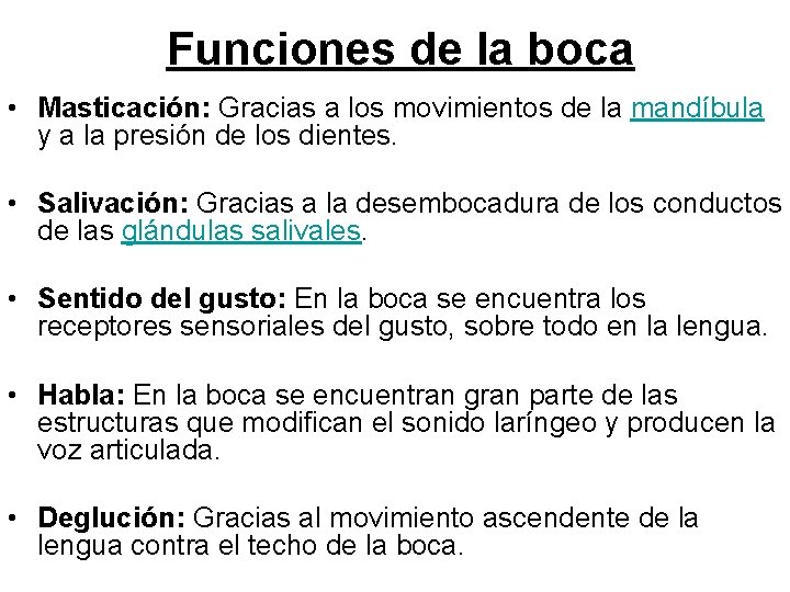 Funciones de la boca • Masticación: Gracias a los movimientos de la mandíbula y Funciones de la boca • Masticación: Gracias a los movimientos de la mandíbula y