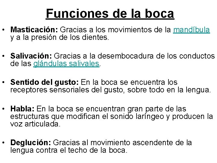 Funciones de la boca • Masticación: Gracias a los movimientos de la mandíbula y