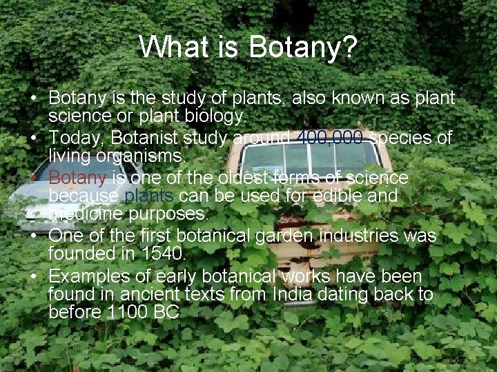 What is Botany? • Botany is the study of plants, also known as plant
