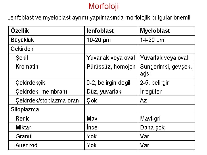 Morfoloji Lenfoblast ve myeloblast ayrımı yapılmasında morfolojik bulgular önemli Özellik lenfoblast Myeloblast Büyüklük 10