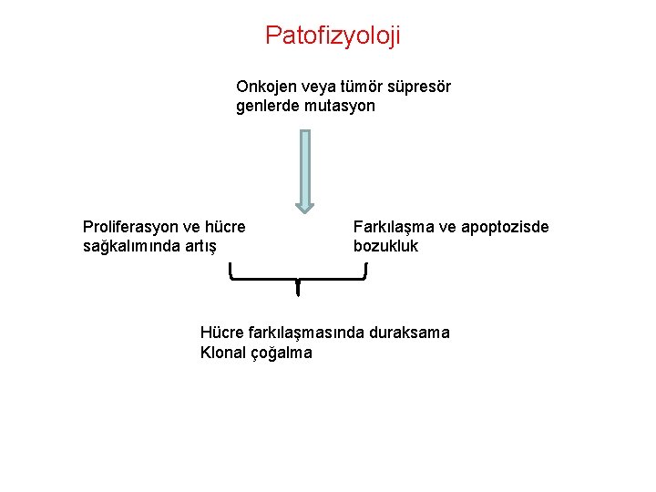 Patofizyoloji Onkojen veya tümör süpresör genlerde mutasyon Proliferasyon ve hücre sağkalımında artış Farkılaşma ve