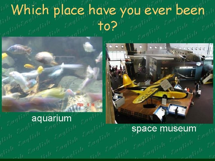 Which place have you ever been to? aquarium space museum 