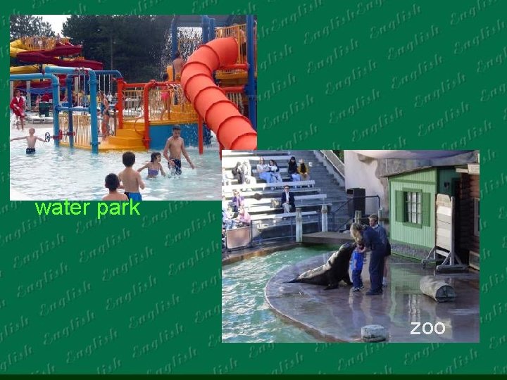 water park zoo 