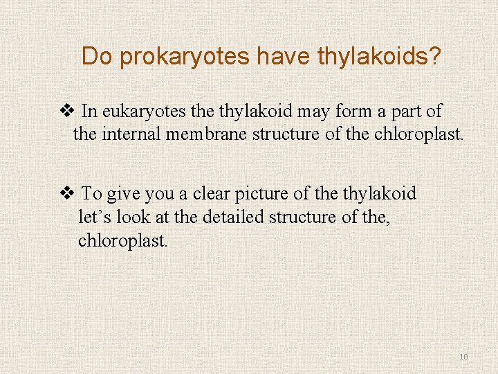 Do prokaryotes have thylakoids? v In eukaryotes the thylakoid may form a part of