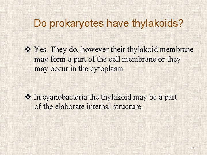 Do prokaryotes have thylakoids? v Yes. They do, however their thylakoid membrane may form