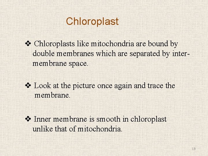 Chloroplast v Chloroplasts like mitochondria are bound by double membranes which are separated by