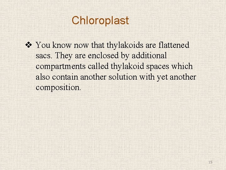 Chloroplast v You know that thylakoids are flattened sacs. They are enclosed by additional