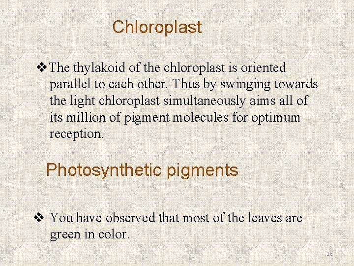 Chloroplast v. The thylakoid of the chloroplast is oriented parallel to each other. Thus