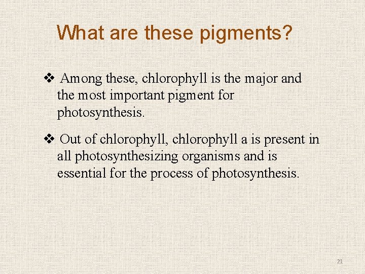 What are these pigments? v Among these, chlorophyll is the major and the most