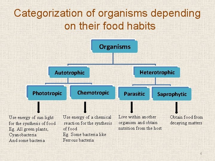 Categorization of organisms depending on their food habits Organisms Autotrophic Phototropic Use energy of