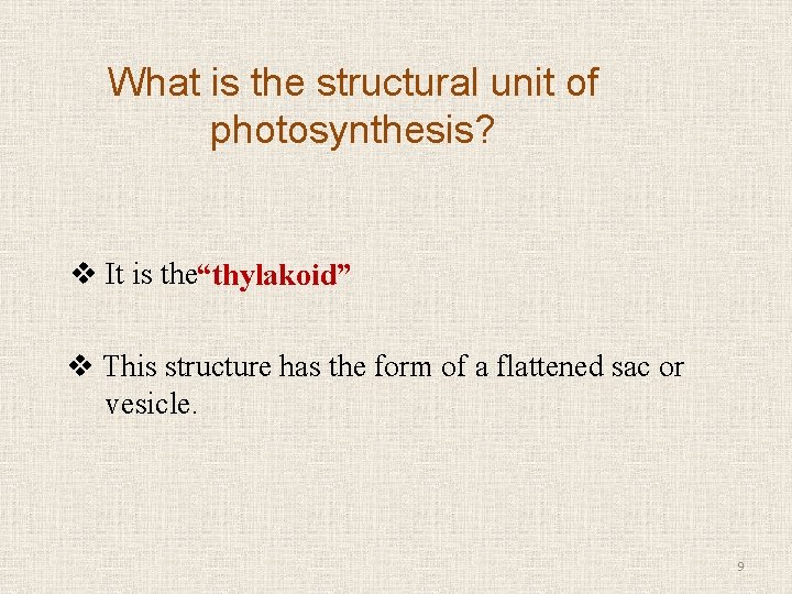What is the structural unit of photosynthesis? v It is the“thylakoid” v This structure