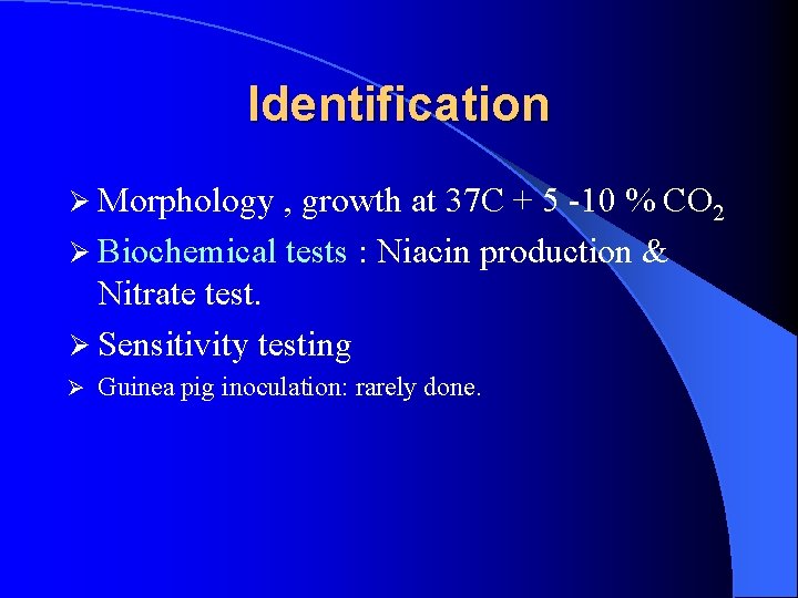 Identification Ø Morphology , growth at 37 C + 5 -10 % CO 2