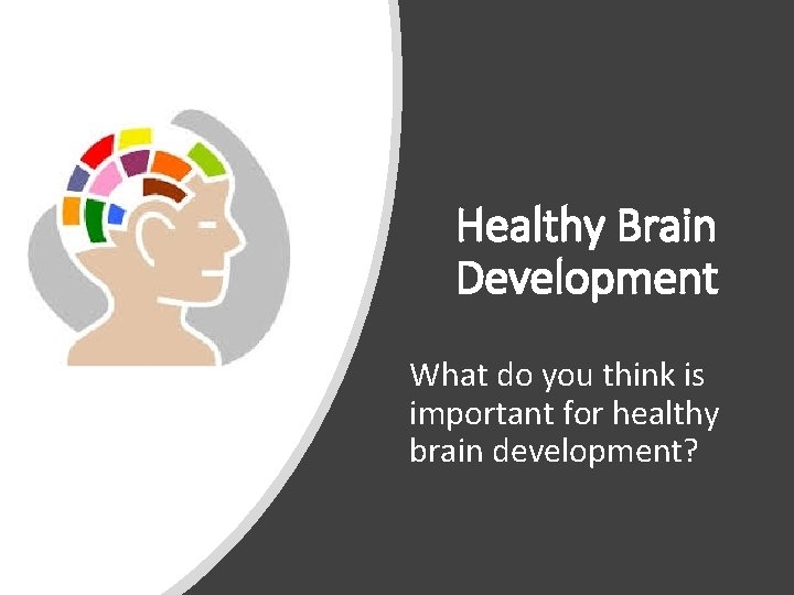 Healthy Brain Development What do you think is important for healthy brain development? Healthy Brain Development What do you think is important for healthy brain development?