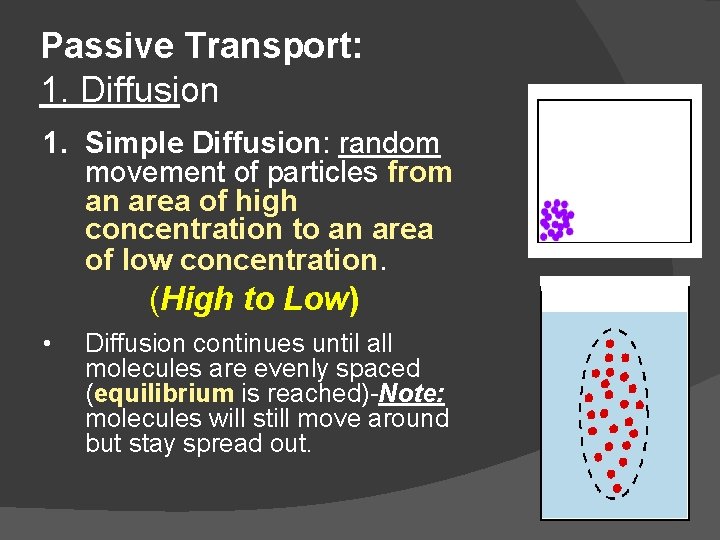 Passive Transport: 1. Diffusion 1. Simple Diffusion: random movement of particles from an area