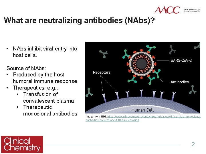 What are neutralizing antibodies (NAbs)? • NAbs inhibit viral entry into host cells. Source