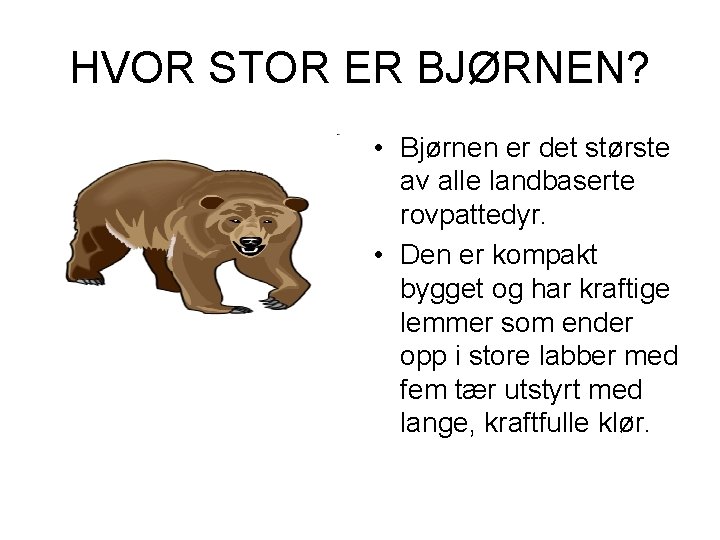 HVOR STOR ER BJØRNEN? • Bjørnen er det største av alle landbaserte rovpattedyr. •