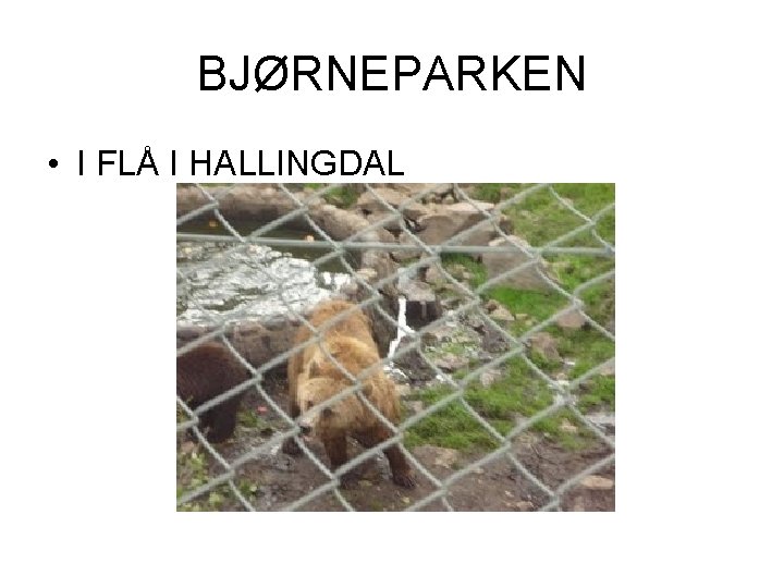 BJØRNEPARKEN • I FLÅ I HALLINGDAL 