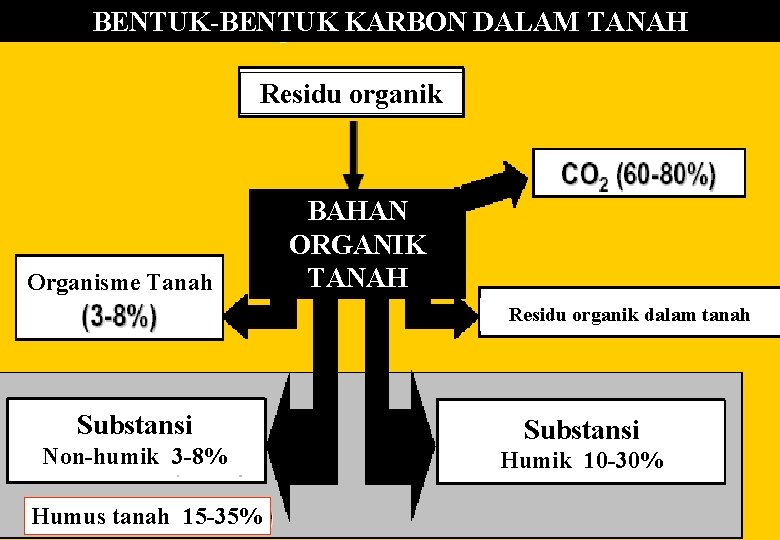 BENTUK-BENTUK KARBON DALAM TANAH Residu organik Organisme Tanah BAHAN ORGANIK TANAH Residu organik dalam