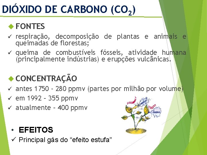 DIÓXIDO DE CARBONO (CO 2) FONTES ü respiração, decomposição de plantas e animais e