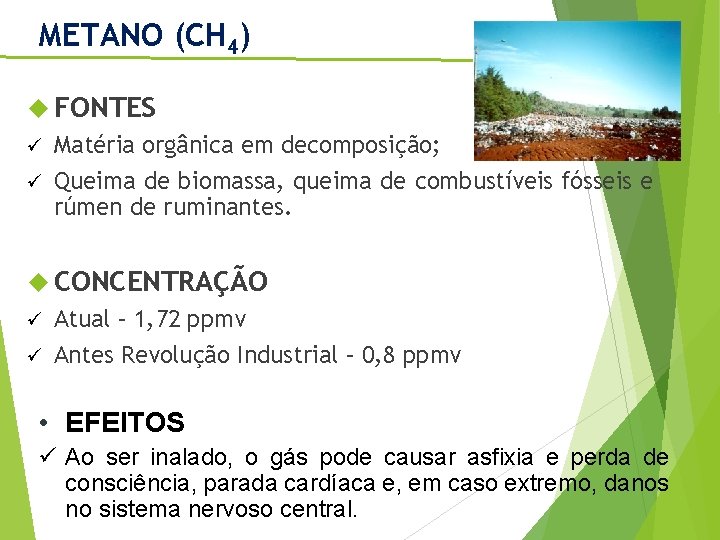 METANO (CH 4) FONTES Matéria orgânica em decomposição; ü Queima de biomassa, queima de