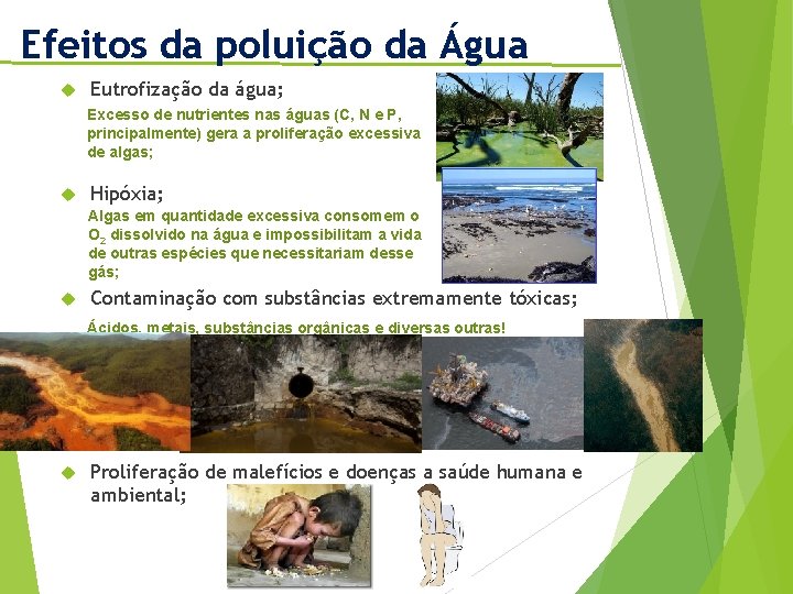 Efeitos da poluição da Água Eutrofização da água; Excesso de nutrientes nas águas (C,