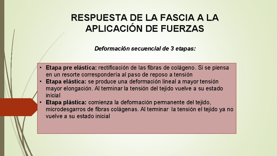 RESPUESTA DE LA FASCIA A LA APLICACIÓN DE FUERZAS Deformación secuencial de 3 etapas: