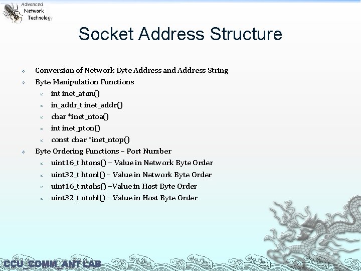 Socket Address Structure Conversion of Network Byte Address and Address String Byte Manipulation Functions